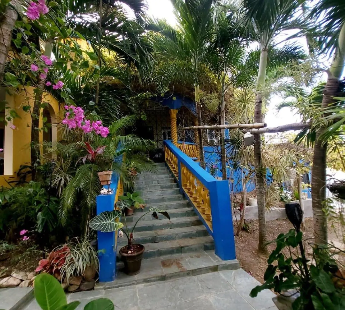 Irie Royal Apartment Boscobel Jamaica